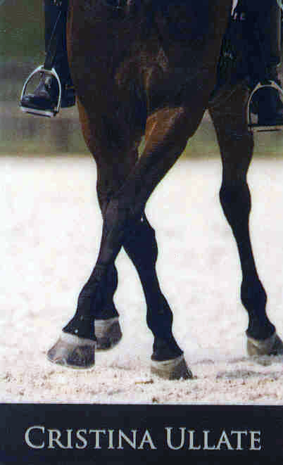 Resultados de la 6&ordf; Fase del Campeonato Navarro de Doma Cl&aacute;sica, Doma Adaptada y JJJDD 2018/19